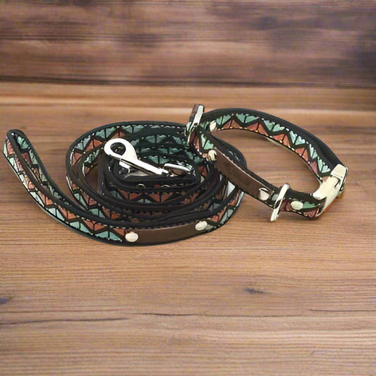 Finnigan's Whimsical Designer Dog Collar Set-0